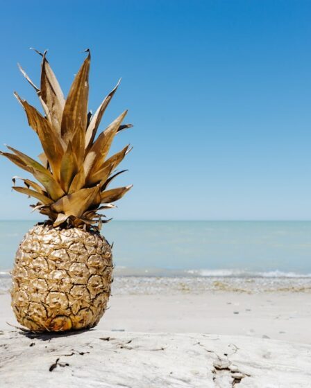 Photo Cream cheese and pineapple dip