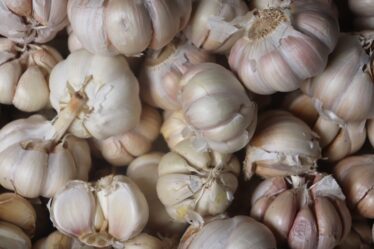 Photo Image: Garlic flakes