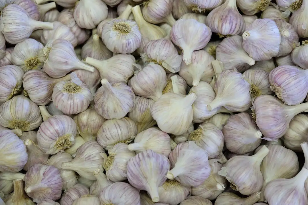 Photo Garlic cloves