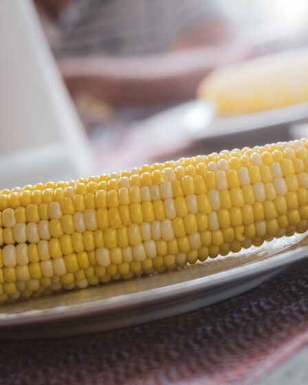 Photo Corn cob