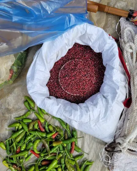 Photo Vegetables, spices