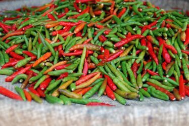 Photo Thai chili pepper