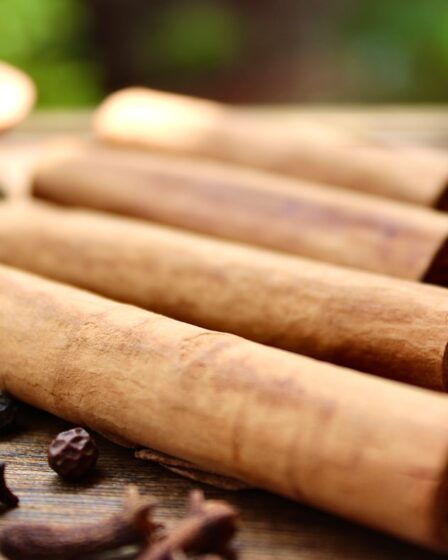 Photo Cinnamon sticks