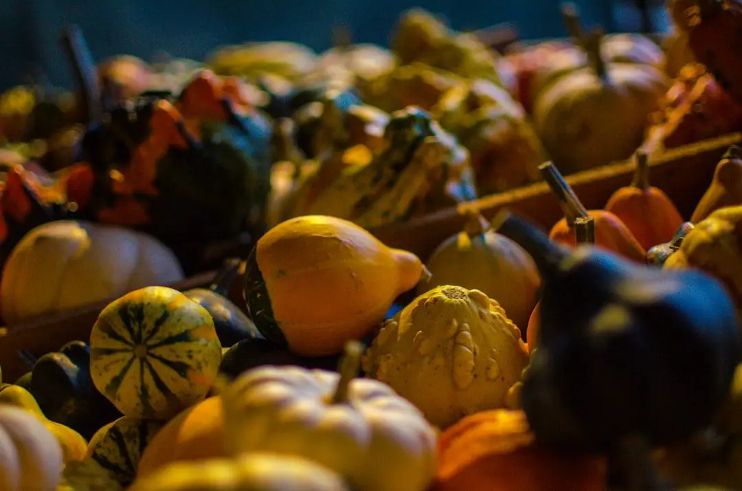 Photo Buttercup squash slices