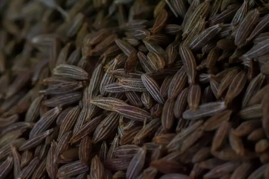 Fermented Millet
