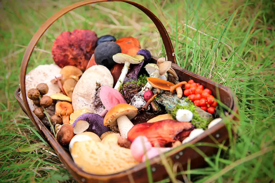 Photo Reduce Food Waste