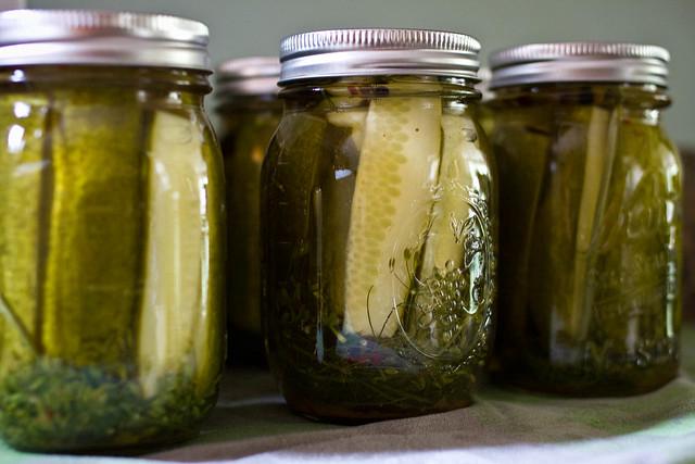 Jars of classic dill pickles with pickling spices, sealed and ready for storage